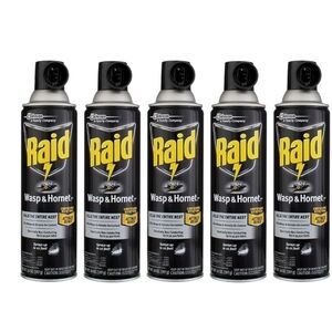 Raid Black Wasp & Hornet Spray